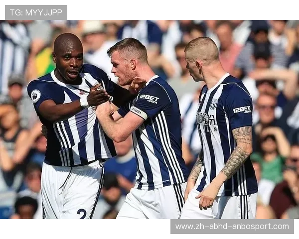 2017赛季英超西布朗队球员名单及其当季比赛战绩回顾